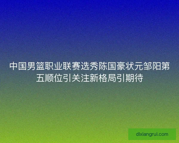 中国男篮职业联赛选秀陈国豪状元邹阳第五顺位引关注新格局引期待