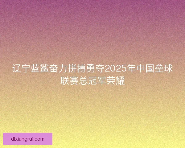辽宁蓝鲨奋力拼搏勇夺2025年中国垒球联赛总冠军荣耀