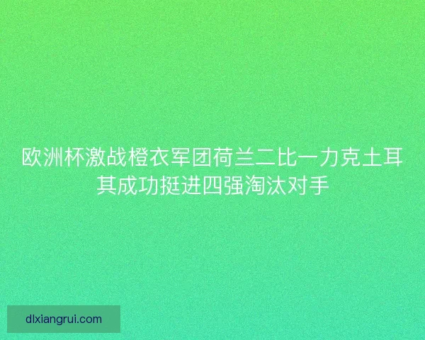 欧洲杯激战橙衣军团荷兰二比一力克土耳其成功挺进四强淘汰对手